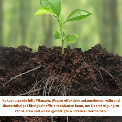 Kokoserde-Ziegel – Nährstoffreiches Pflanzsubstrat für Anzucht, Sukkulenten & Gemüse 🌱🪴