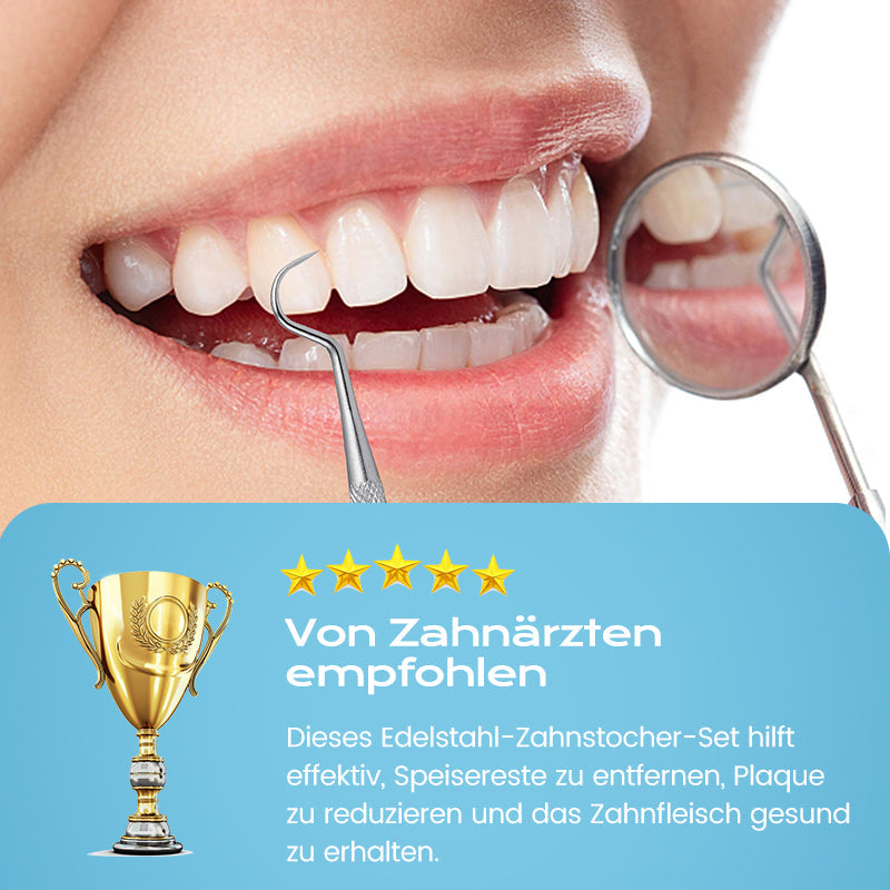 💥Halber Preis⚡Edelstahl-Zahnstocher-Set | Hygienisch & Langlebig 🦷✅