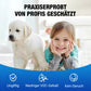✨Wasserdichtes Dichtspray zur Abdichtung，Frühlingsangebot: 56% Rabatt auf Ihre Bestellung