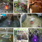 Springbrunnenpumpe mit LED-Farblichtern