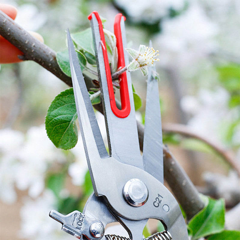 🌳✂Zweischneidige Gartenhackschere