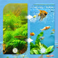 🐠Begrenzte Zeit halber Preis-Professional 8D High Density Fish Tank Filter Foam