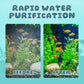 ⏳Begrenzte Zeit 49% Rabatt💥Leiser elektrischer Filter für Aquarien