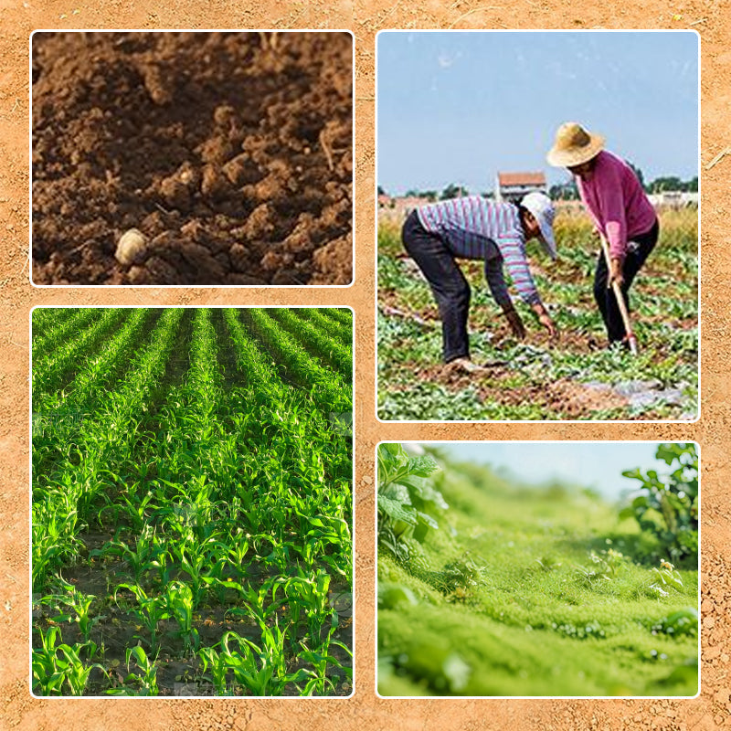 Landwirtschaftliche Nägelegge