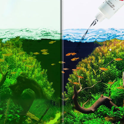 ⏳Begrenzte Zeit 50 % Rabatt⏳Effektive Algenbekämpfung für Aquarien