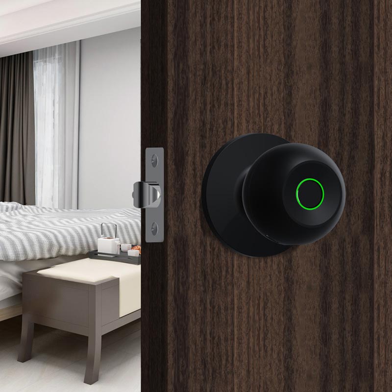 Intelligentes Türschloss mit Bluetooth und Fingerabdrucksensor
