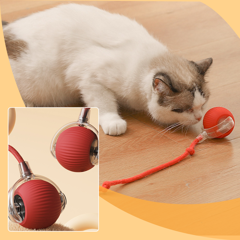 Intelligentes zwitscherndes rollendes interaktives Katzenspielzeug Ball
