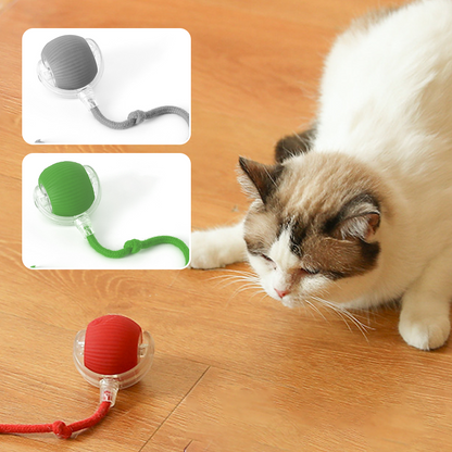 Intelligentes zwitscherndes rollendes interaktives Katzenspielzeug Ball