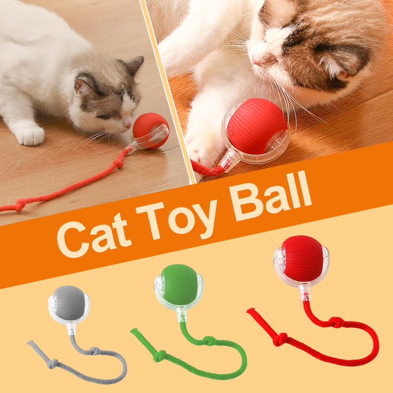 Intelligentes zwitscherndes rollendes interaktives Katzenspielzeug Ball