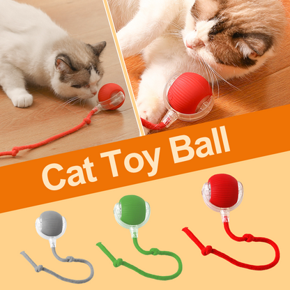 Intelligentes zwitscherndes rollendes interaktives Katzenspielzeug Ball