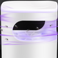 ✨Große Preisreduzierung und 66% Rabatt im Sommer✨🔇🦟UV Fly Trap mit Transparent Catch Box