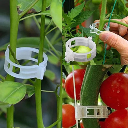 Pflanzenclips für Rankpflanzen – Tomatenhalter & Pflanzenbinder aus Kunststoff🌱🍅