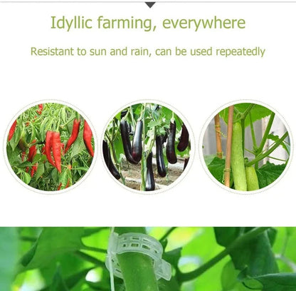 Pflanzenclips für Rankpflanzen – Tomatenhalter & Pflanzenbinder aus Kunststoff🌱🍅