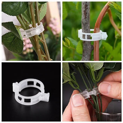 Pflanzenclips für Rankpflanzen – Tomatenhalter & Pflanzenbinder aus Kunststoff🌱🍅