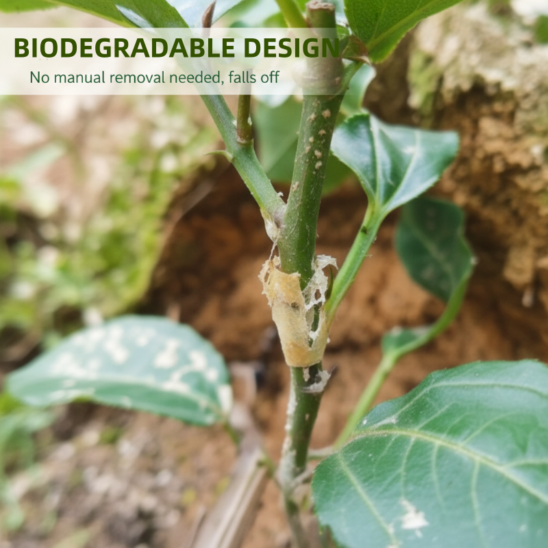 🌳 50% RABATT JETZT! ✨ Silikon-Veredelungshülsen (50/150/250 Stück) – Flexibel, Wetterbeständig & Fördert das Anwachsen von Obstbäumen 🛠️🌱