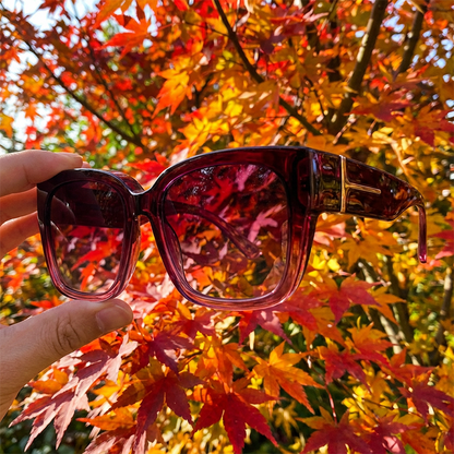 🔥Solange der Vorrat reicht 52 % Rabatt!🎉Stylische polarisierte Sonnenbrille zum Aufsetzen