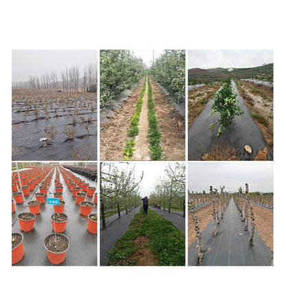 🌱 Schwarzes Unkrautvlies für Garten & Beet – Strapazierfähige Unkrautfolie