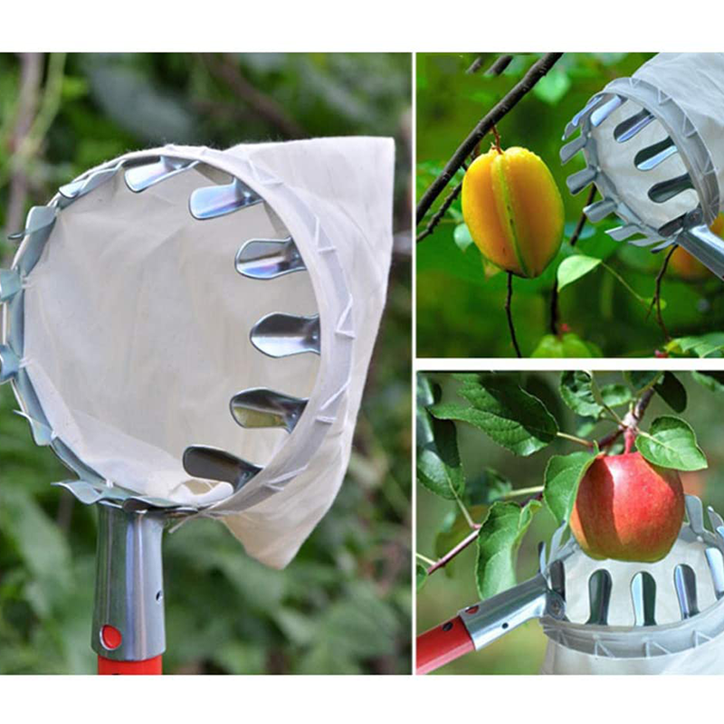 🍎Blitzangebot! Obstpflücker mit Auffangkorb – Pflückkopf aus verzinktem Eisen, Stoffbeutel – mit oder ohne Teleskopstiel (1,6–4,0 m) – Pflücken vom Boden aus! ✨