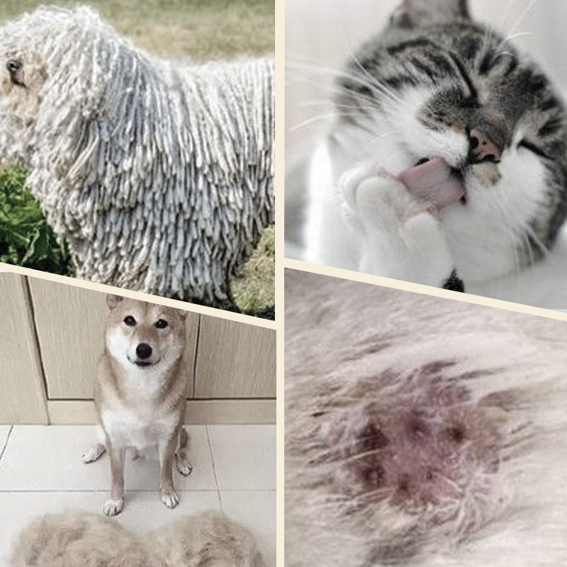 ✨Doppelseitige Tierpflegebürste🪒Entfernt Unterwolle & Knoten Schonend😸🐶