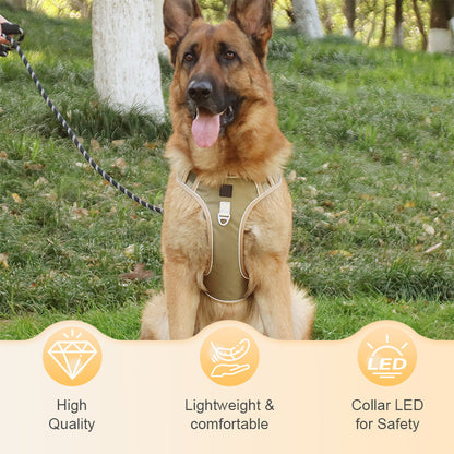 📢📢50 % RABATT !! ⏰Hundegeschirr ohne Zugkraft mit Leine und Halsband mit LED
