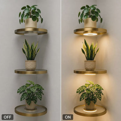 Schwebendes Wandregal mit integriertem Ambiente-LED-Licht