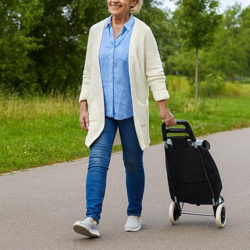🛒 Tragbarer Einkaufswagen mit Rollen – Faltbarer Einkaufstrolley für Einkäufe mit großer Tasche & Teleskopgriff