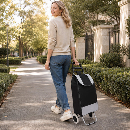 🛒 Tragbarer Einkaufswagen mit Rollen – Faltbarer Einkaufstrolley für Einkäufe mit großer Tasche & Teleskopgriff