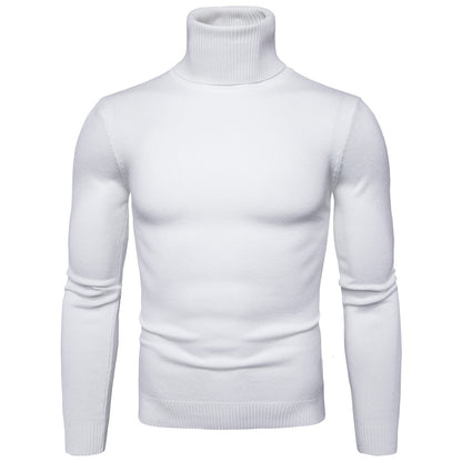 🎄2023 neuer warmer Rollkragenpullover für Herren🎄